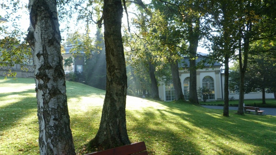 Blick in den romantischen Kurpark Bad Steben